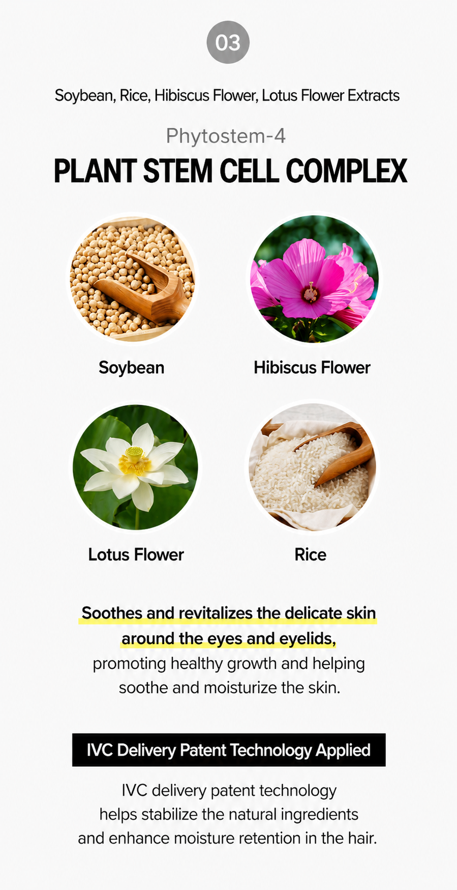 Lash Factory easy Balm